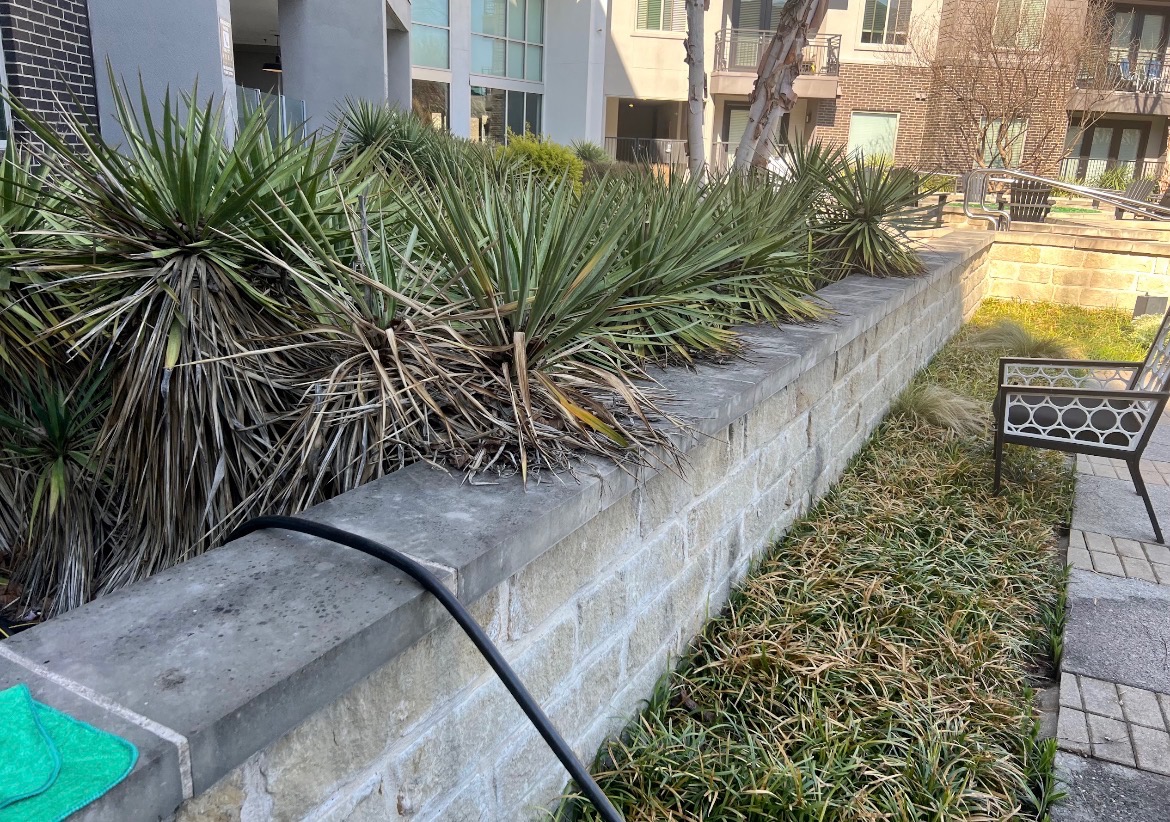 Commercial property exterior cleaning project in North Texas