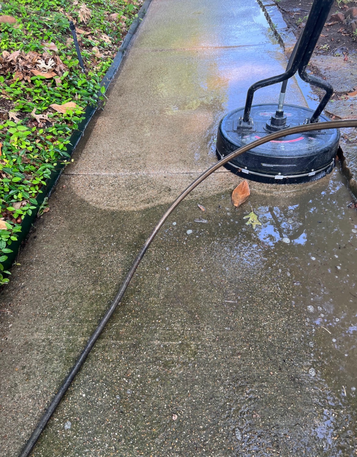 Surface cleaner removing years of grime from a concrete walkway